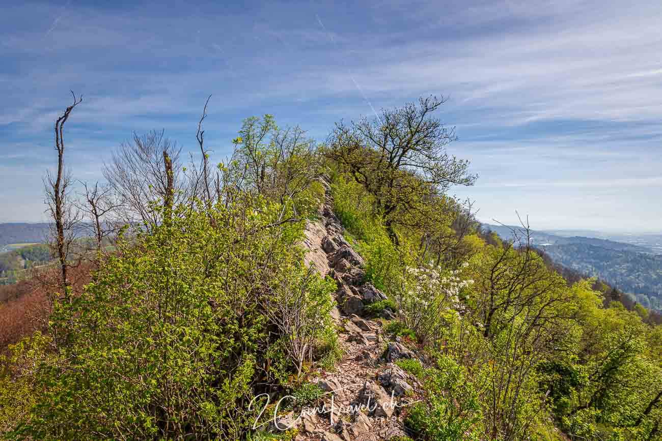 Wanderung Lägern Baden Regensdorf